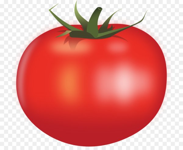 Векторный помидор