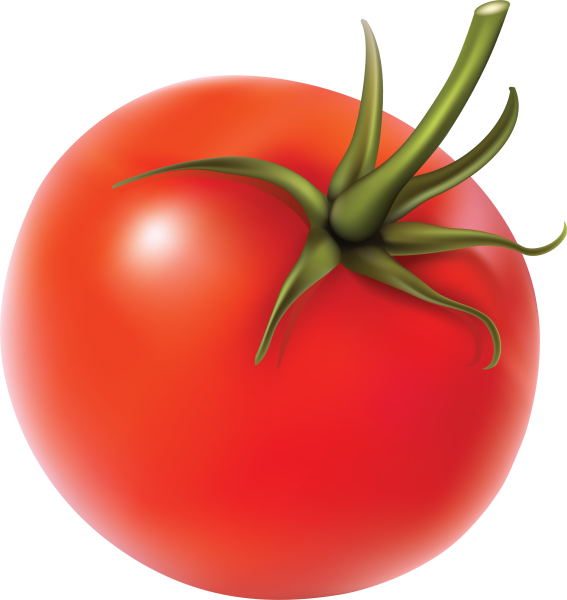 Векторный помидор