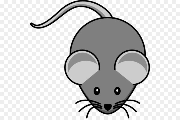 Мышка для дошкольников