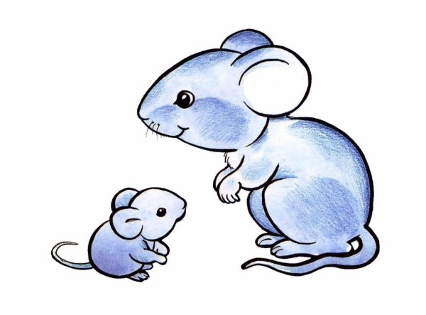 Зарисовки мышей