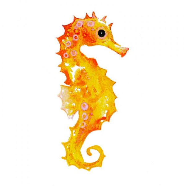 Морской конек эскиз