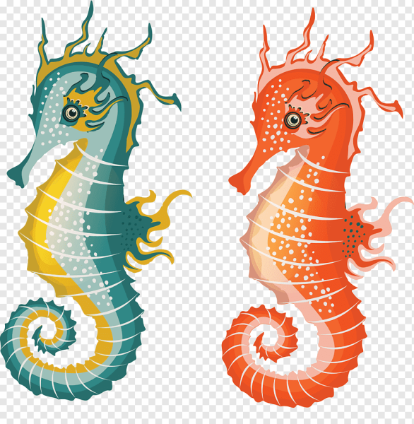 Морские обитатели для детей