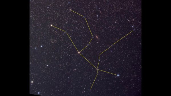 Андромеда Созвездие