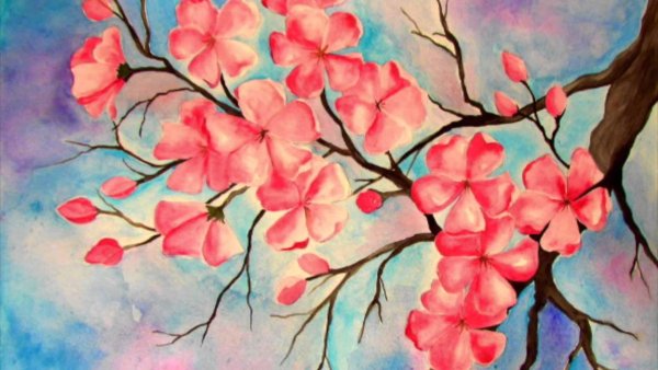 Сакура гуашью