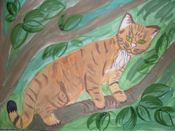 Кот ворюга Автор