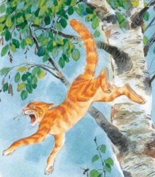 Кот ворюга раскраска