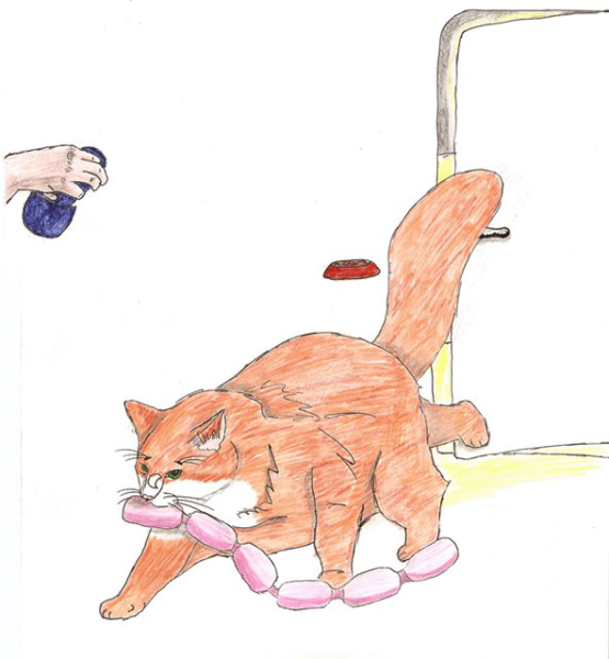 Константин Паустовский кот-ворюга иллюстрации