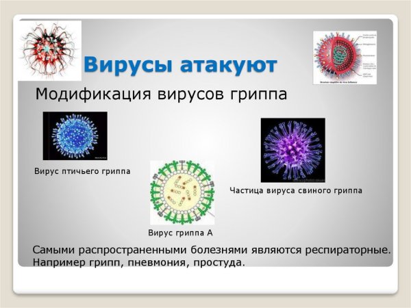 Вирус гриппа атакует клетку