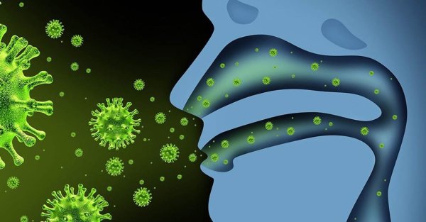 Вирус простуды