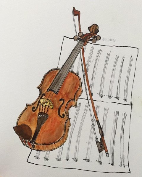 Скрипка рисунок