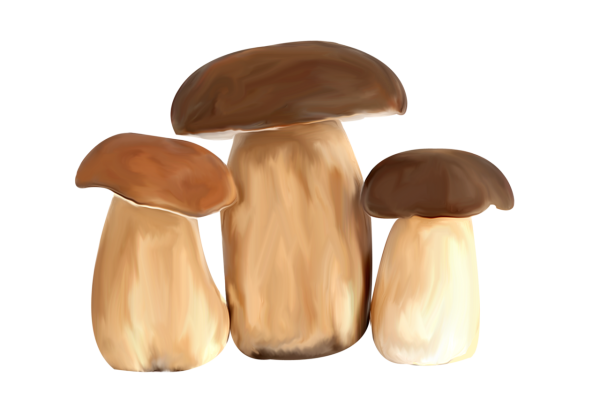 Грибочки на прозрачном фоне