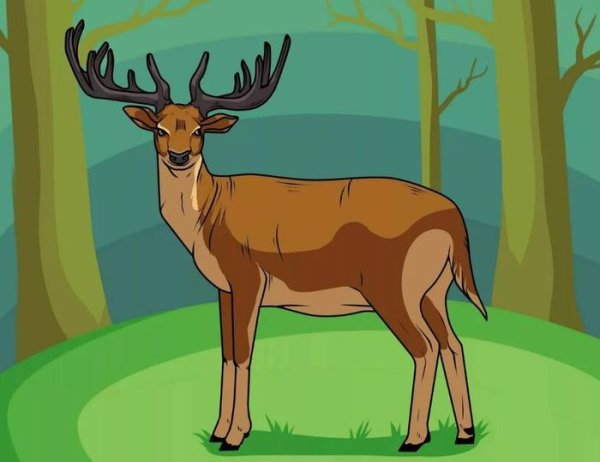 Олень раскраска