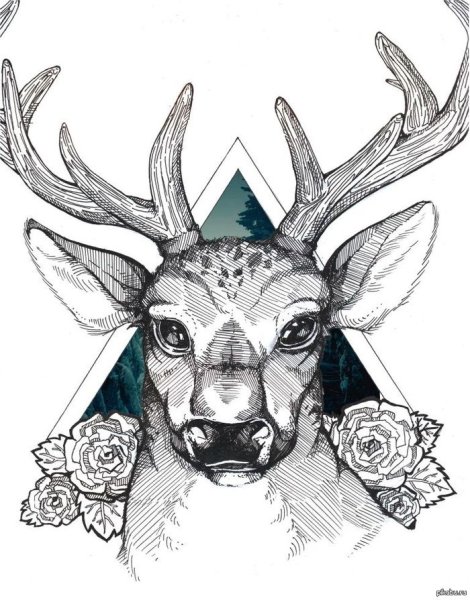 Олень рисунок