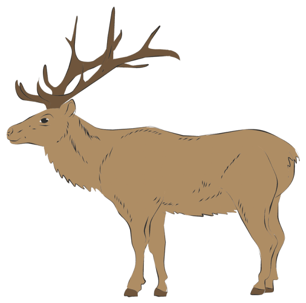 Нарисовать оленя