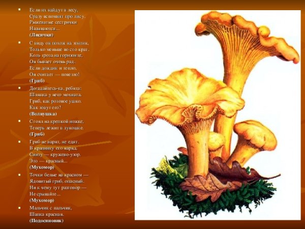 Гриб Лисичка для детей