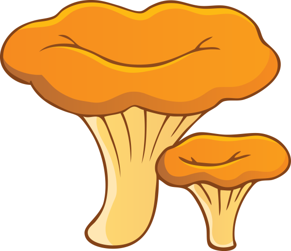 Ложная Лисичка гриб раскраска