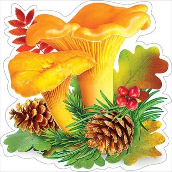 Гриб Лисичка шаблон