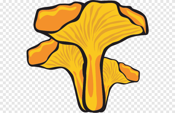 Гриб Лисичка для детей