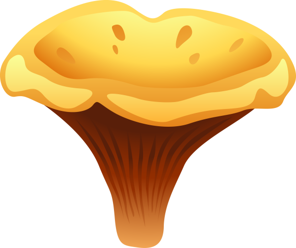 Раздаточный материал грибы