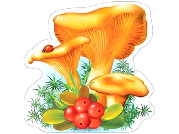 Нарисовать съедобные грибы