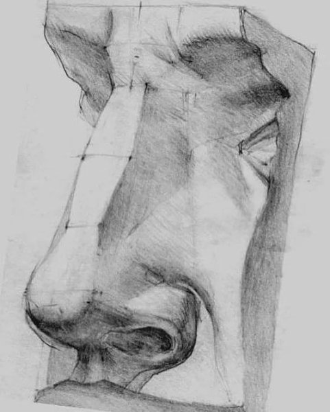 Гипсовый нос Давида