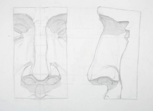 Академическое рисование части лица Давид пошагоаво
