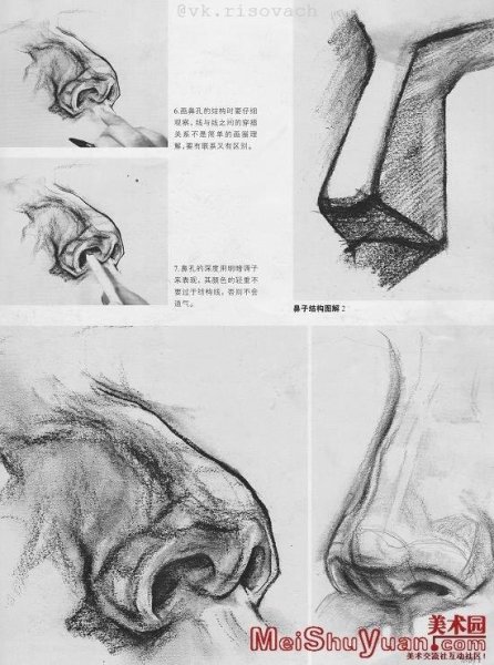 Нос Давида Академический рисунок