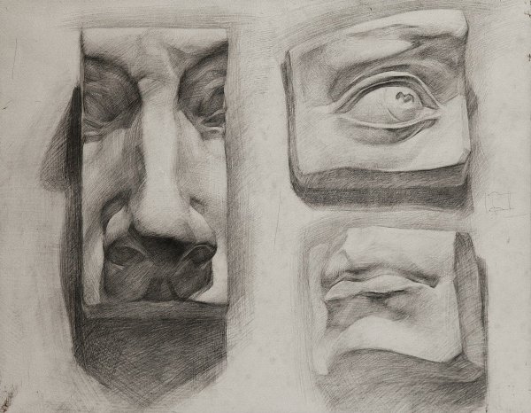 Нос Давида Академический