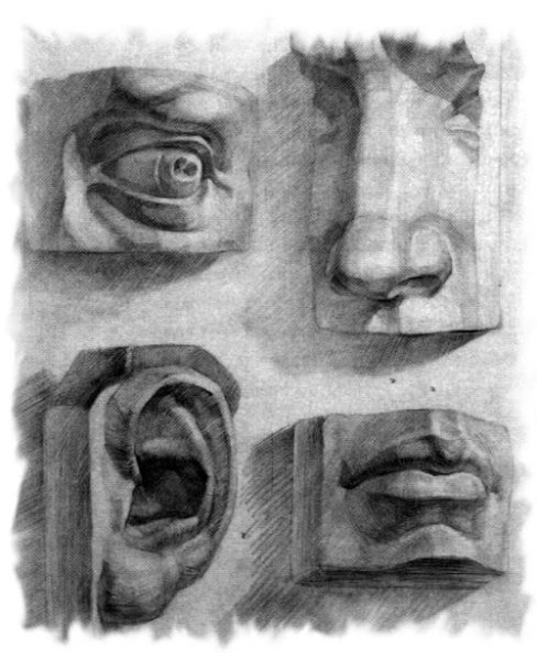 Нос референс Академ