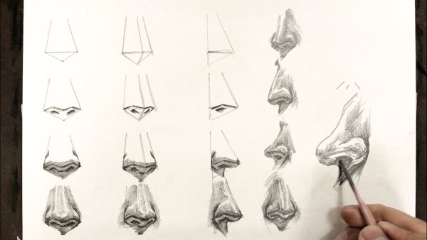 Нос Давида анфас