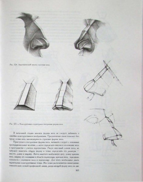Нос Давида построение