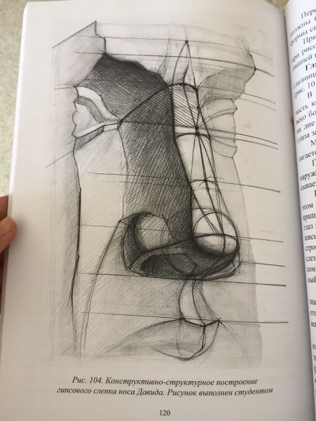 Нос Давида гипс построение