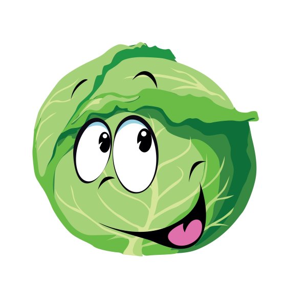 Капуста дио