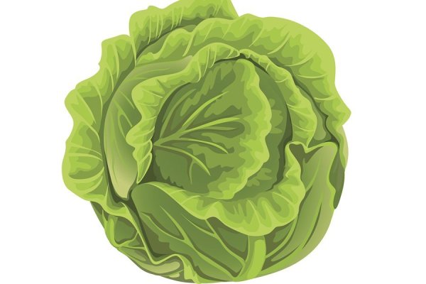 Капуста белокочанная раскраска