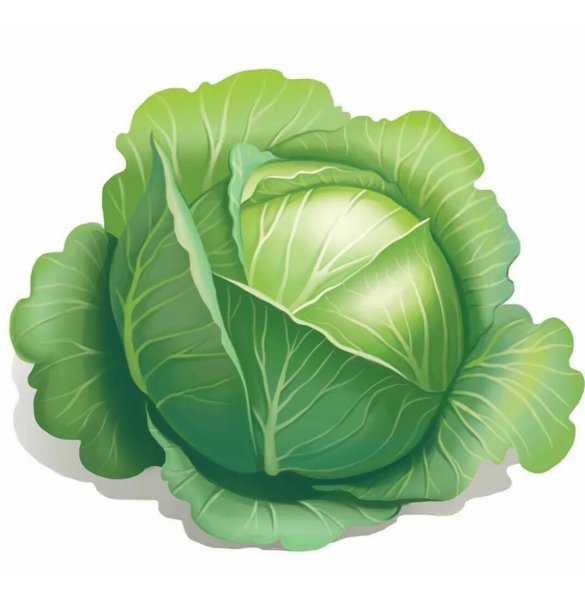 Капуста мультяшный