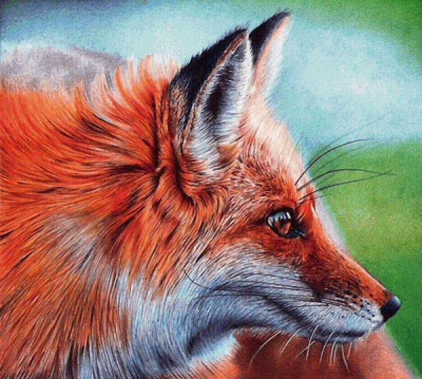 Самуэль Сильва художник лисы