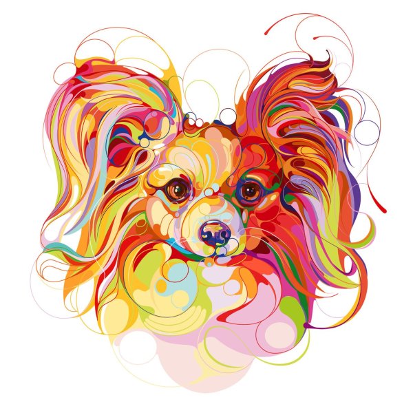 Разноцветные собачки