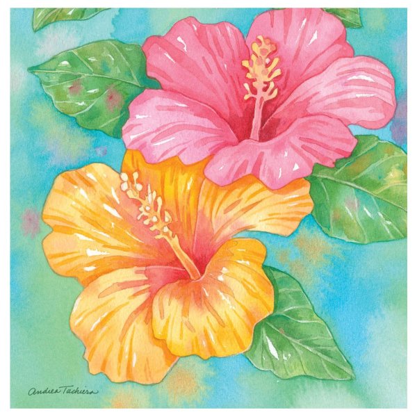 Цветы цветные карандаши гибискус