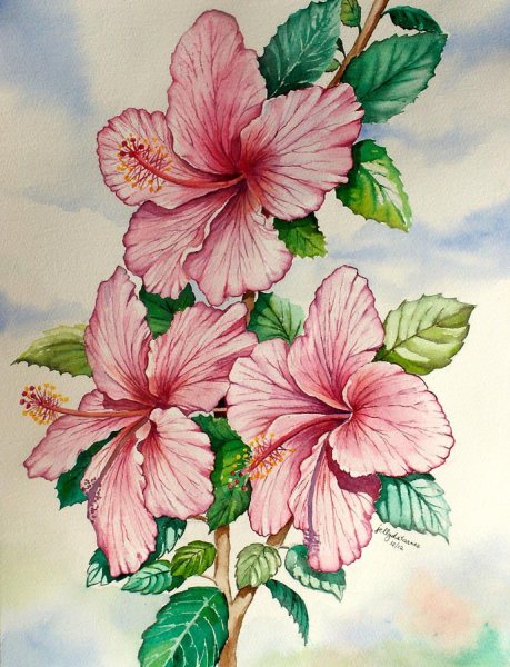 Гибискус тату акварель