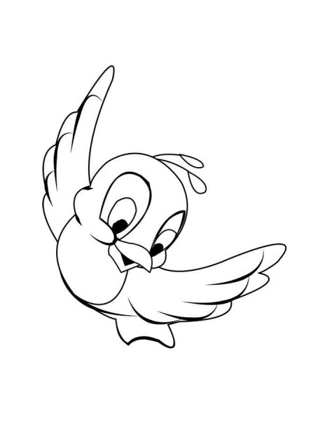 Птицы раскраска для детей