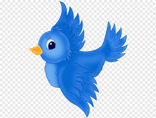 Мультяшные птицы