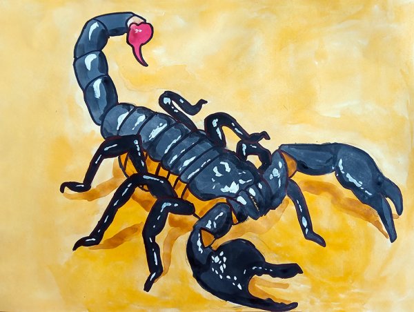 Скорпион картина