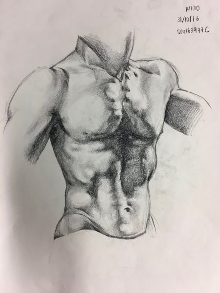 Экорше Строгановка