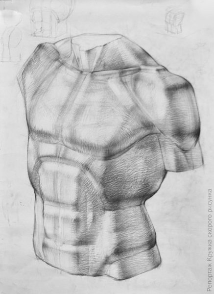Торс зарисовки
