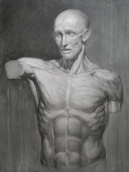 Пресс сбоку референс