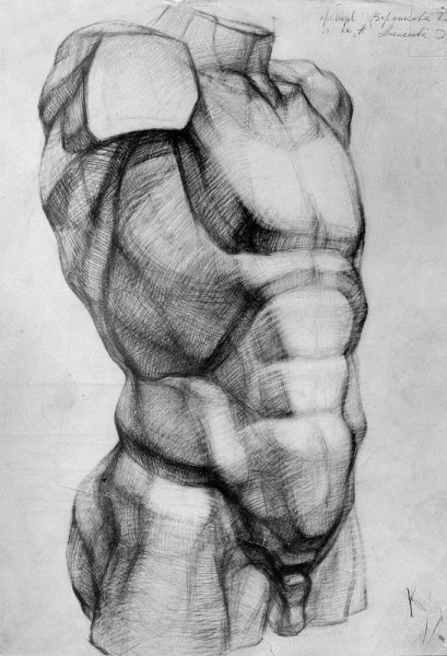 Мужской торс для рисования