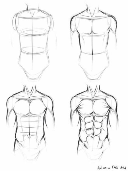 Баммес торс