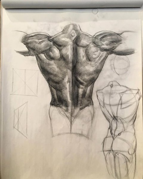 Экорше Гудона торс