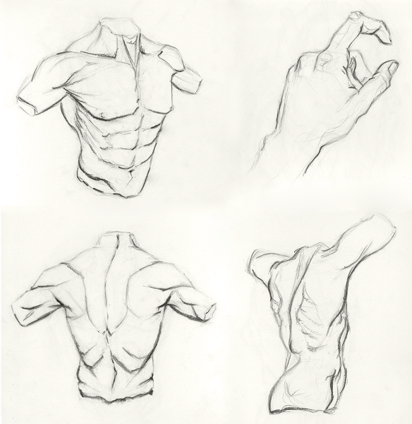 Мужское тело для рисования