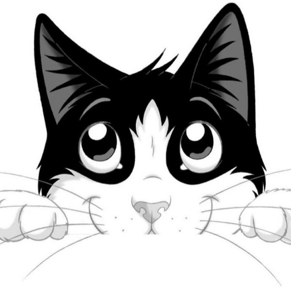 Мультяшный кот черно белый